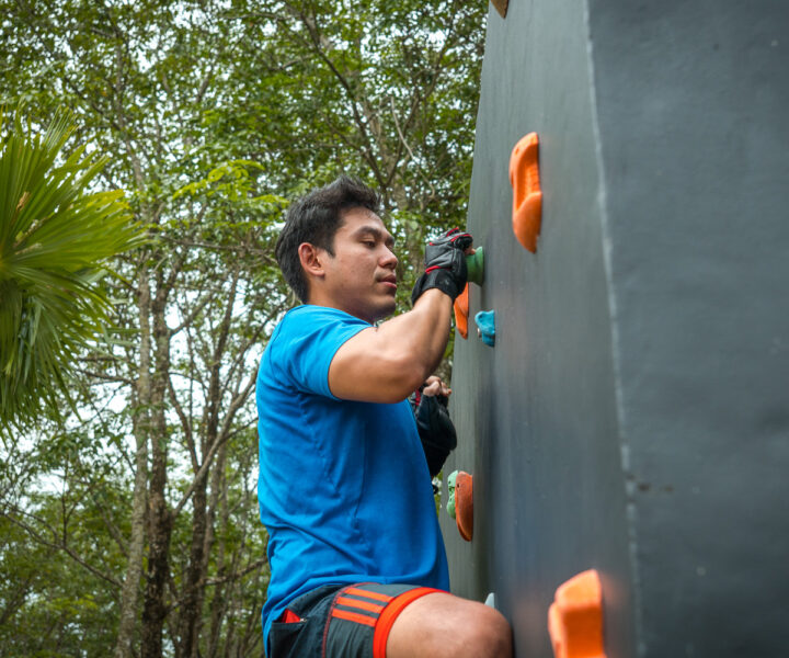 STAY Wild Outdoor Obstacle Course : STAY Wellbeing & Lifestyle Resort
